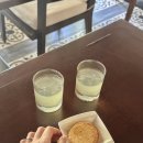 나트랑 더 아남 리조트 풀빌라 부대시설 조식 헬스장 수영장 버거 내돈내산 추천 나트랑 여행 가족여행