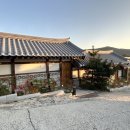 댕댕 shop(샵) 이미지