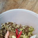 지행태능숯불갈비 이미지