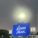 돌아왔다[삼성,롯데]롯데자이언츠VS삼성라이온즈 라팍직관후기(5/28-29)