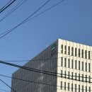 댕댕묭실 | 동작구청 혼인신고/혼인신고하는방법/혼인신고 준비물,증인/동작구청 미끄럼틀 타기/동작구청 D-lide 후기