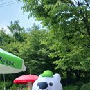 자닮유치원 이미지