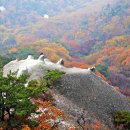 수락산 클린산행과 나무들의 겨울나기 이야기 이미지