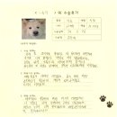 1115 | [#1115] 누룽지(양측 대퇴골두절제술)의 수술후기