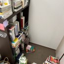 주간일기 25.06.02~06.08