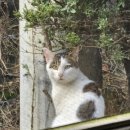 디오 스포츠 아카데미 | 생존신고 겸 내사랑들 공유