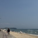 원산도수산 | 원산도자연휴양림 당첨 파도채 회센터 주차 해루질