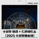 (도슨트와 함께하는)도서관 놀이산책(4/13) | 🎆2025 수성빛예술제 완전정복✨ 수성못 빛 축제 일정, 프로그램, 꿀팁 총정리!