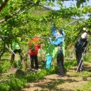 동문2리 이미지