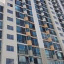 일등급입시외국어학원 이미지