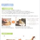 해마루어린이집 - 남동구 | 해마루어린이집