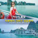 하노이 하롱베이 당일투어 크루즈 할인 예약 이동 점심 패키지 후기