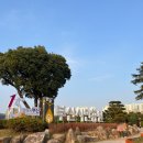 부산시민공원방문자센터지하1층 | 11월 부산시민공원에서 가을 산책을