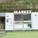 위드펫 | 서울 근교펜션 애견동반 횡성펜션 위드펫빌리지 단독 수영장