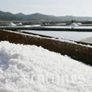 다해유통 주식회사 이미지