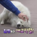 포동이농장 이미지