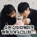 수원 강아지 케이크 주문은 까까가개에서 ! 기념일 준비 끝