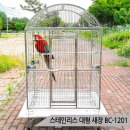 케이지