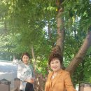 인셀덤 인천대리점 이미지