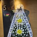 조치과의원 이미지