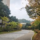 광교더포레스트(단지내)공인중개사사무소 이미지