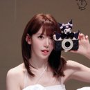 BDM 이미지