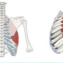 늘필라테스 이미지
