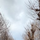 광명시립국궁장 이미지