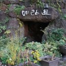 울릉도스카이투어