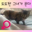 도도한 그녀 ▶여왕님의 점심시간◀