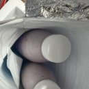 투머치팜