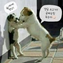 월 이미지