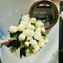 용산-이촌-223 이미지