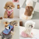 안아줄개 이미지