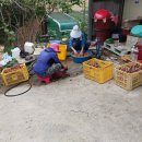 경북농장 이미지