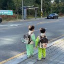 빛나수산 이미지