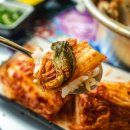매운찬매운실비김치 이미지