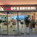 24시 양주 힐 동물의료센터 이미지