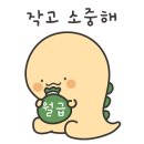 컬러로그