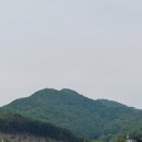 청송심씨 묘역 이미지