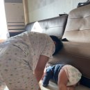 민호카센타 이미지