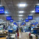 진도수산 | 나영석의 와글와글에 나왔던 겨울 제철 음식 노량진 대방어 회 맛집 : 진도 진진수산 후기