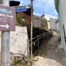 우암동 도시숲 | 부산 가볼 만한 곳 우암동 도시숲 마실길 포토존 야경 명소