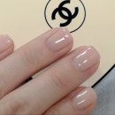 네일또하리 이미지