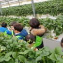 주몽농장 이미지