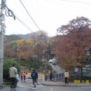 과천여자고등학교 이미지