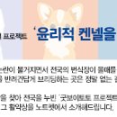 히든밸리켄넬 이미지