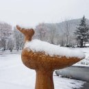 장수미술관 이미지