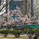 오도체육관 | 2025 1/4분기 모음