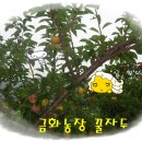 금화농장 이미지